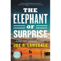 The Elephant of Surprise