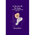 In The Fire Of The Forge; A Romance of Old Nuremberg (Volume II)