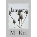 January: A Tanka Diary