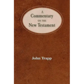 A Commentary of the New Testament