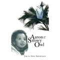 Aaron and the Snowy Owl