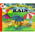 Down Comes the Rain