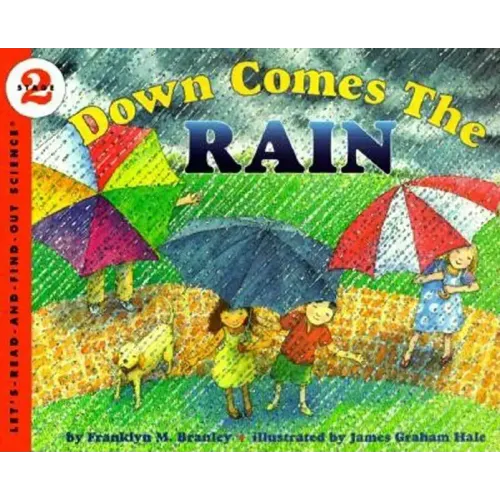Down Comes the Rain