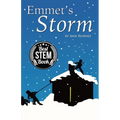 Emmet's Storm
