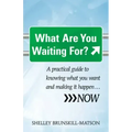 What Are You Waiting For?: A Practical Guide to Knowing What You Want and Making It Happen...Now