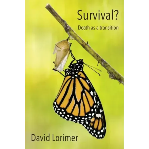 Survival? Death as a Transition