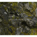 Spirited Stone: Lessons from Kubota's Garden
