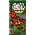 Hawai'i Butterflies and Pollinators