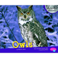 Owls