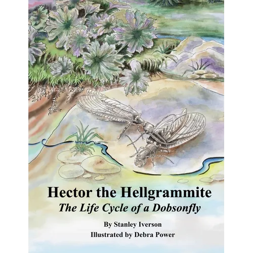 Hector the Hellgrammite: The Life Cycle of a Dobsonfly