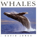 Whales