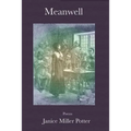 Meanwell: Poems