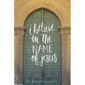 I Believe in the Name of Jesus: Knowing Jesus Through His Seven "I Am" Statements