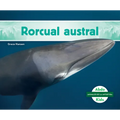Rorcual Austral (Southern Minke Whale)