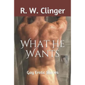 What He Wants: Gay Erotic Stories