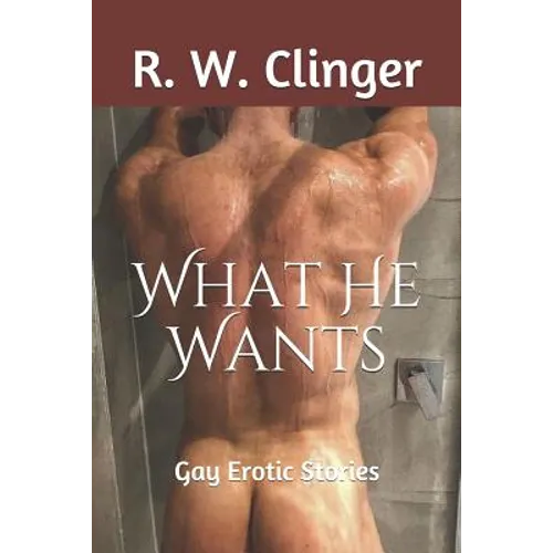 What He Wants: Gay Erotic Stories