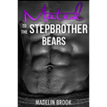 Mated to the Stepbrother Bears