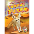 Fennec Foxes