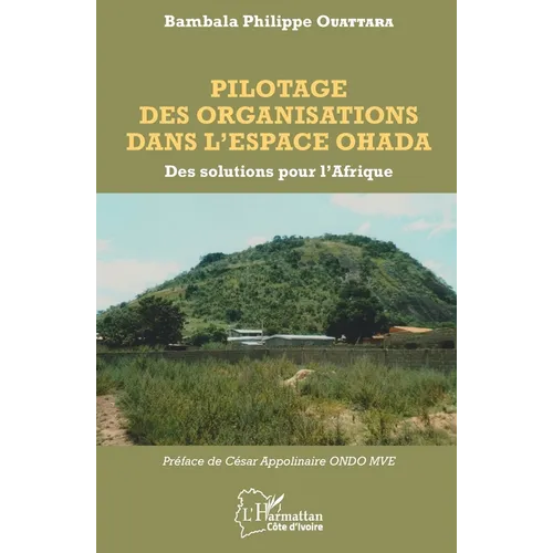 Pilotage des organisations dans l'espace OHADA: Des solutions pour l'Afrique