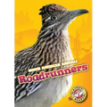 Roadrunners