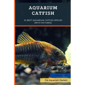 Aquarium Catfish: 10 Best Aquarium Catfish Species (With Pictures)