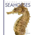 Seahorses