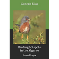 Birding hotspots in the Algarve: Around Lagos