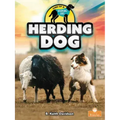 Herding Dog