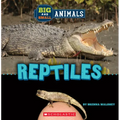 Reptiles (Wild World: Big and Small Animals)