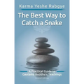 The Best Way to Catch a Snake: A Practical Guide To Gautama Buddha's Teachings