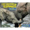 Eavesdropping on Elephants: How Listening Helps Conservation