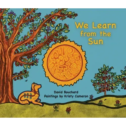 We Learn from the Sun