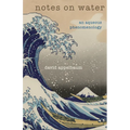 Notes on Water: An Aqueous Phenomenology