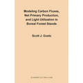 Modeling Carbon Fluxes, Net Primary Production and Light Utilization in Boreal Forest Stands