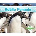 Adelie Penguin