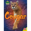 Cougar
