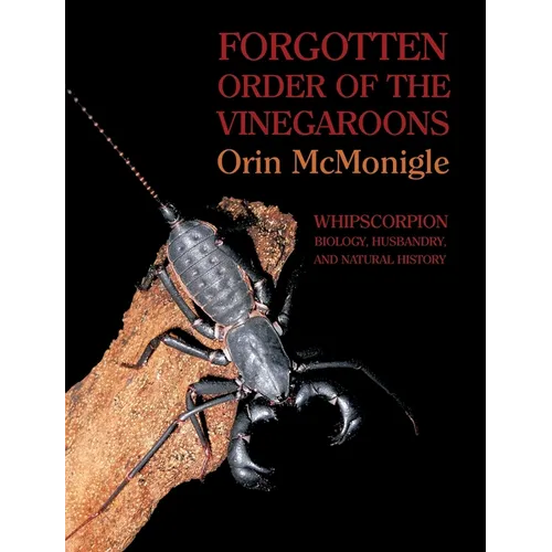 Forgotten Order of the Vinegaroons: Whipscorpion Biology, Husbandry, and Natural History