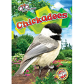 Chickadees