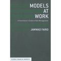 Models at Work: A Practitioner's Guide to Risk Management