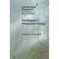 Heidegger's Phenomenology