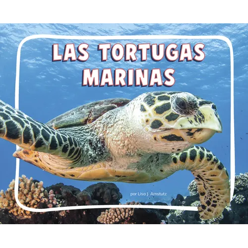 Las Tortugas Marinas (Sea Turtles)