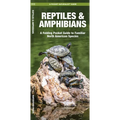 Reptiles & Amphibians: An Introduction to Familiar North American Species