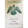 Falcons and Falconry