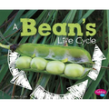 A Bean's Life Cycle