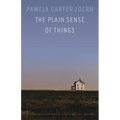 The Plain Sense of Things