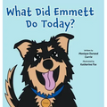 What Did Emmett Do Today?