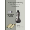 One Bishop Saves the Day: A World Champion's Favorite Studies