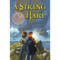 A String in the Harp