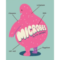 Microbes