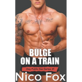 Bulge on a Train: A Gay Public Sex Story